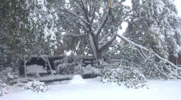 Winter Storm Atlas